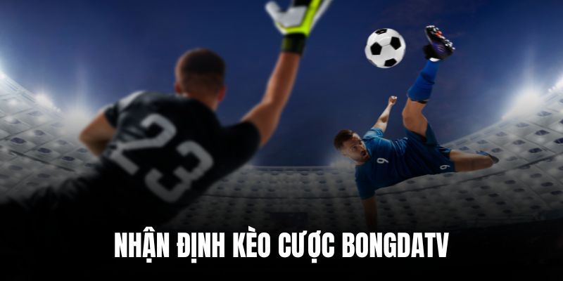 Nhận định kèo được kiểm định bởi các chuyên gia cao cấp của BongdaTV